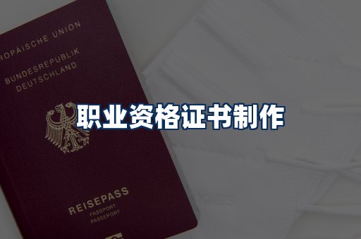 职业资格展示